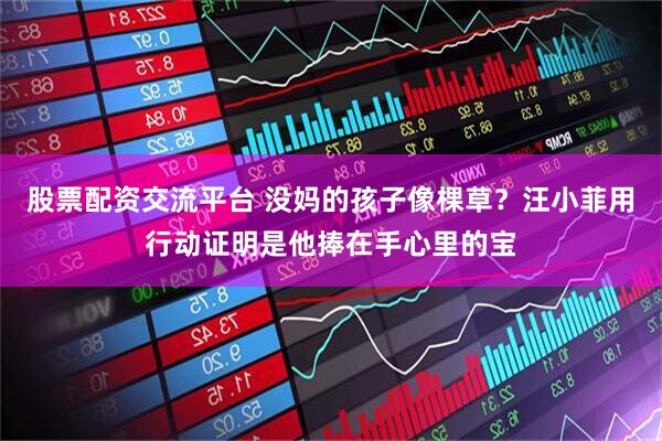 股票配资交流平台 没妈的孩子像棵草？汪小菲用行动证明是他捧在手心里的宝