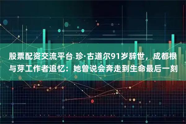 股票配资交流平台 珍·古道尔91岁辞世，成都根与芽工作者追忆：她曾说会奔走到生命最后一刻