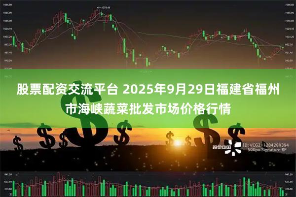 股票配资交流平台 2025年9月29日福建省福州市海峡蔬菜批发市场价格行情