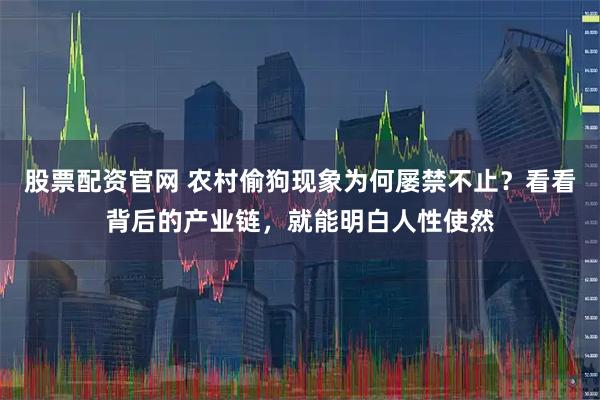 股票配资官网 农村偷狗现象为何屡禁不止？看看背后的产业链，就能明白人性使然