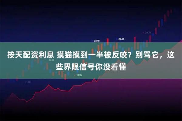 按天配资利息 摸猫摸到一半被反咬？别骂它，这些界限信号你没看懂